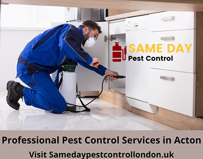 Professional Pest Control Services in Acton