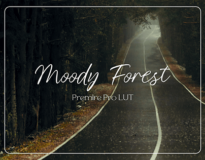 Moody Forest - LUT