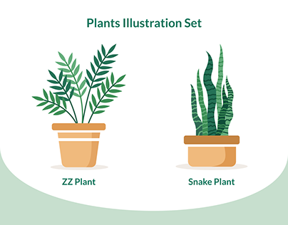 Plant Illustration Set