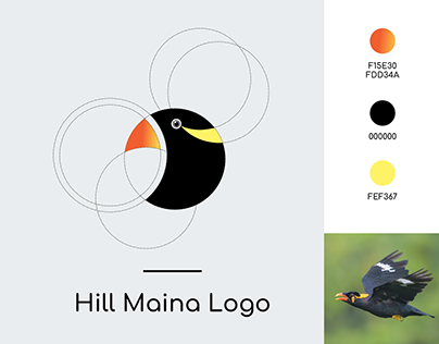 Hill Maina (Bird) Logo