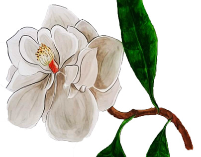 Magnolias - Botanical Inspirations