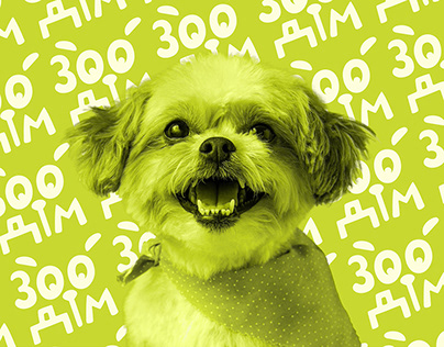 ZooDim | Branding | Pet Shop Brand Identity | Logo