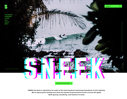 Sneek Surfboards Website