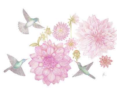 Gifts from Nature, Hummingbirds and Dahlia's