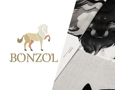 Diseño de marca textil Bonzol