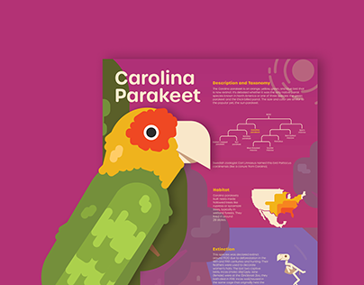 Carolina Parakeet AR Poster