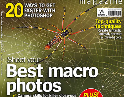 Macro photography of a spider web