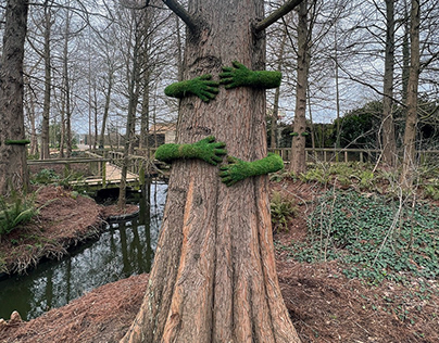 Tree Hug / Terra Botanica
