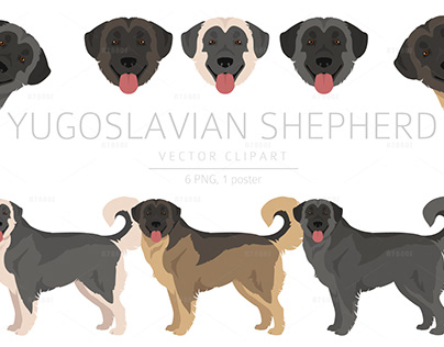 Yugoslavian Shepherd dog breed. Vector graphic