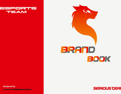 Project thumbnail - BrandBook Esports Team Serious Team