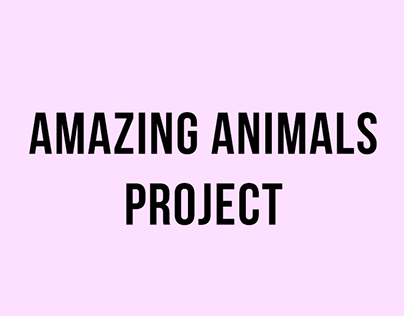 Amazing Animals Project