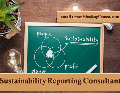 Sustainability Reporting Consultant