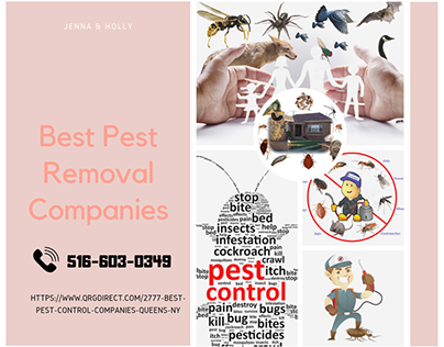 Pest Removal Companies Queens NY