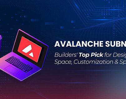 Avalanche Subnets: Key Factors for its Adoption