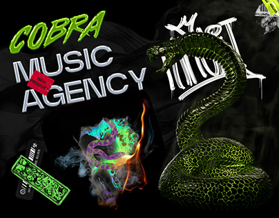 Project thumbnail - Cobra Music Agency