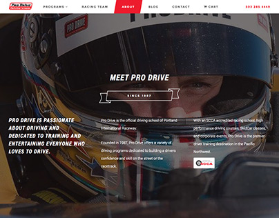 Pro Drive Driving School Website Redesign