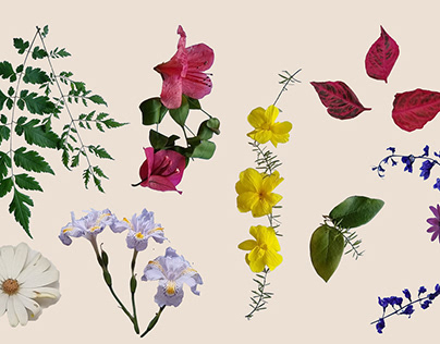 Padronagem com florais - Lívia Ruffino