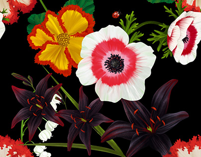 Floral Patterns & Illustrations