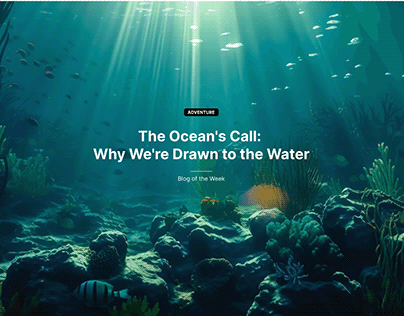 The Ocean Sings Us Home - A Blog Website