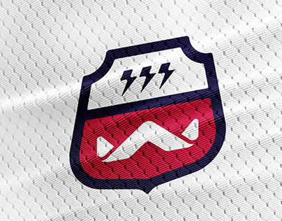 Logo Design For A Hockey Team