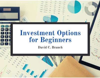 Investment Options For Beginners