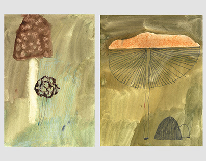 Mushroom Illustration Portfolio