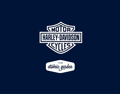 Harley Davidson - Radares Davidson