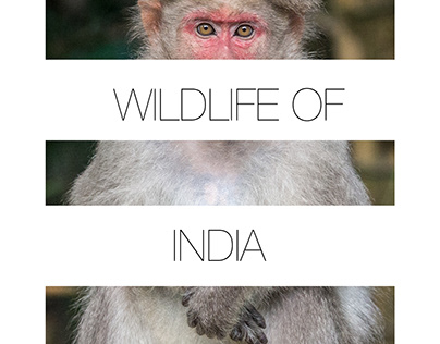Wildlife of India