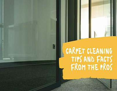 Carpet Cleaning Tips and Facts from the Pros