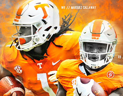 Recent Tennessee Concept Work