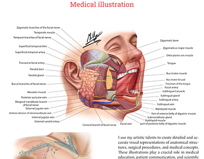 Medical Illustration portfolio
