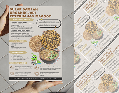 Poster Template - Maggot Cultivation