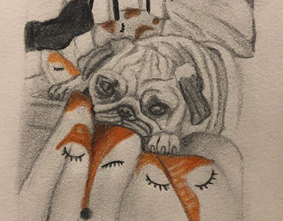 Detailed animal drawings mostly pugs