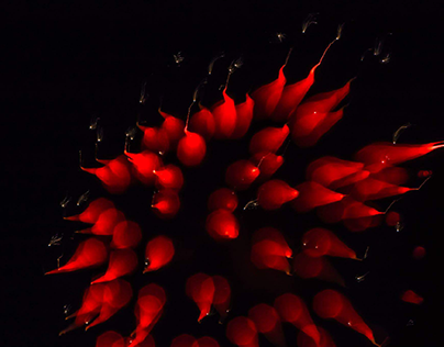 Fireworks in motion
