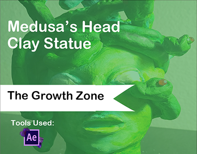 The Growth Zone - Medusa's Head Clay Statue