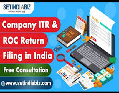 How to File Company Annual Return Online?