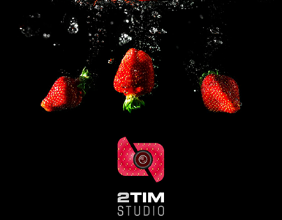 2TIM Logo Design