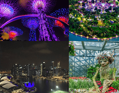 Gardens by the Bay: The Complete Guide