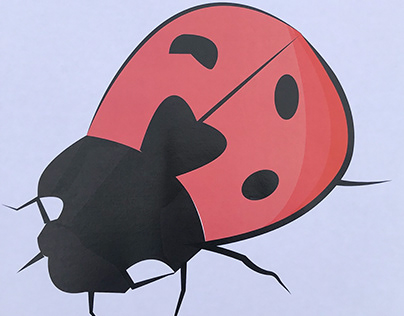 Ladybird Illustration