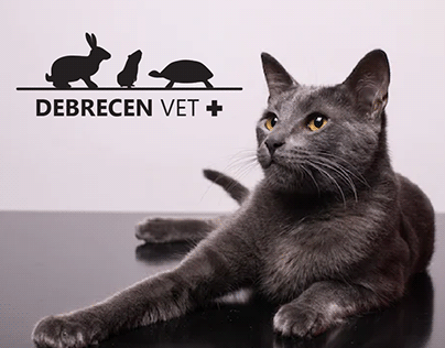Debrecen Vet állatklinika