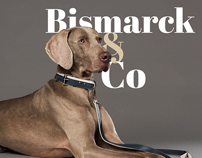 Bismarck & Co - Branding