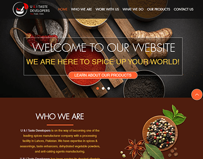 Project thumbnail - Wix spices Website Design - Case Study