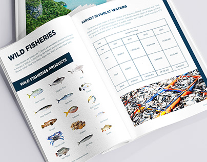 Investment Booklet Design - for West Papua Province