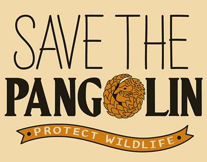 Pangolin Conservation & Research Foundation