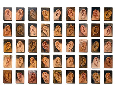 THE EAR PROJECT