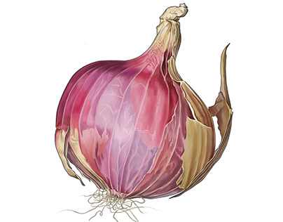 Digital art of Onion.