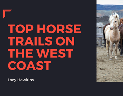 Top Horse Trails On The West Coast