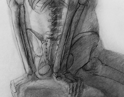 Anatomy drawings