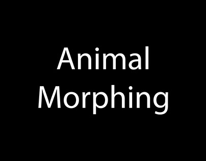 Animal Morphing