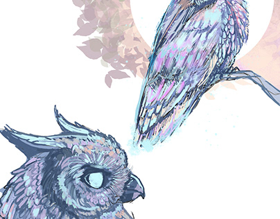 Owl colored scribbles